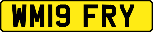 WM19FRY