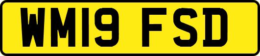 WM19FSD
