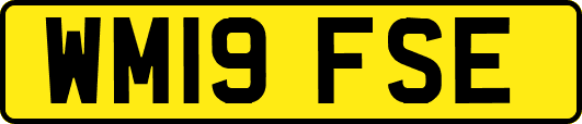 WM19FSE