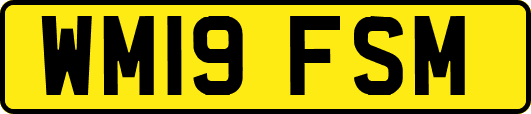 WM19FSM