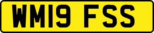 WM19FSS