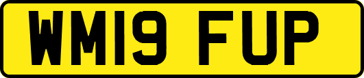 WM19FUP
