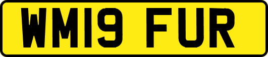 WM19FUR
