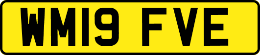 WM19FVE