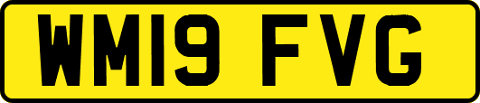 WM19FVG