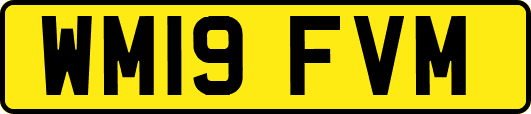 WM19FVM