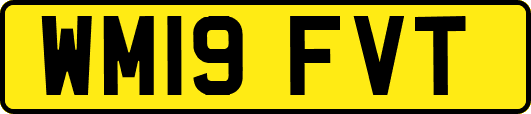 WM19FVT