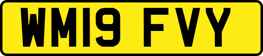 WM19FVY