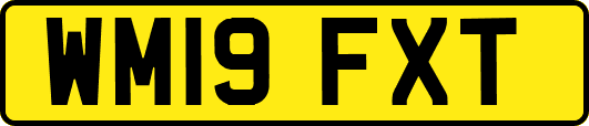 WM19FXT