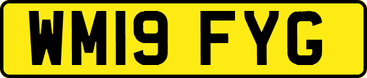 WM19FYG