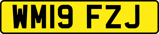 WM19FZJ