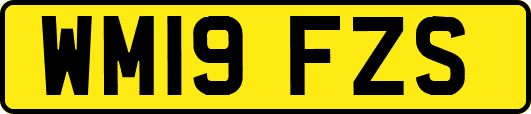 WM19FZS