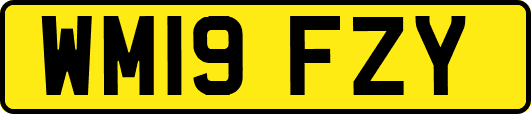 WM19FZY