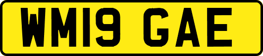 WM19GAE