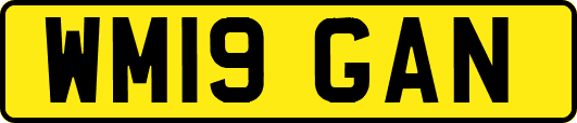 WM19GAN