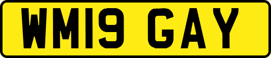 WM19GAY