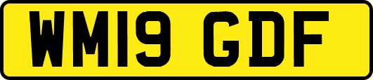 WM19GDF