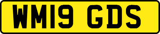 WM19GDS