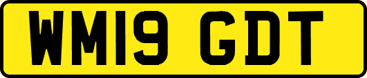 WM19GDT