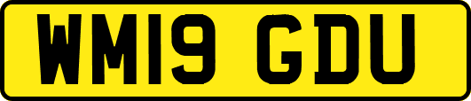 WM19GDU