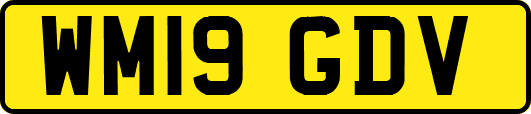 WM19GDV