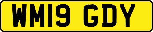 WM19GDY