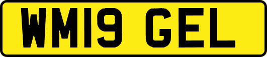 WM19GEL
