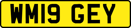 WM19GEY
