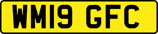WM19GFC
