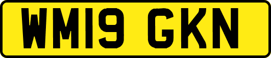 WM19GKN