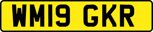WM19GKR