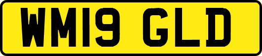 WM19GLD