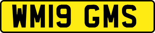 WM19GMS