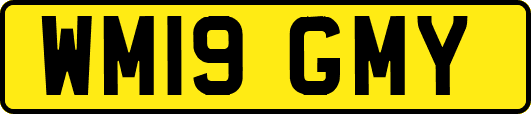 WM19GMY