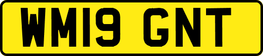 WM19GNT