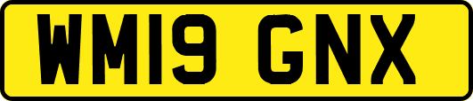 WM19GNX