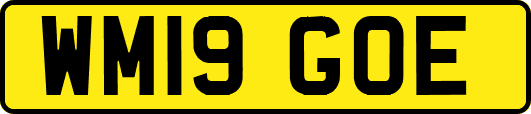WM19GOE