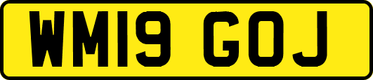 WM19GOJ