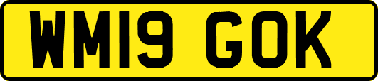 WM19GOK