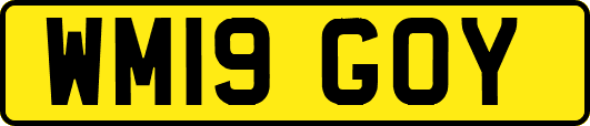 WM19GOY