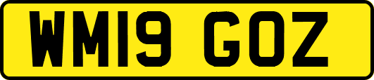 WM19GOZ