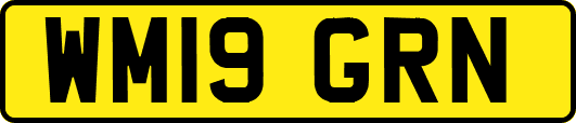 WM19GRN