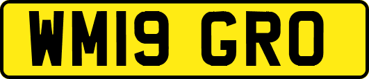 WM19GRO