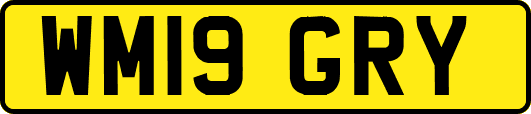 WM19GRY