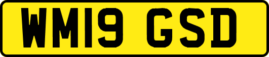 WM19GSD