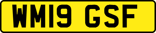 WM19GSF