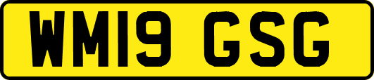 WM19GSG