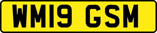 WM19GSM