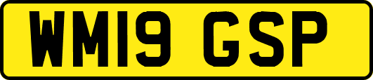 WM19GSP