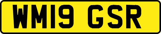 WM19GSR